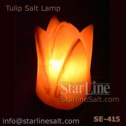 Tulip Salt Lamp